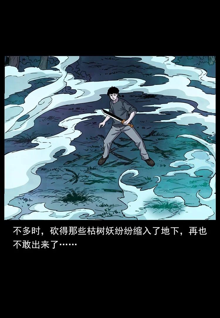第212页