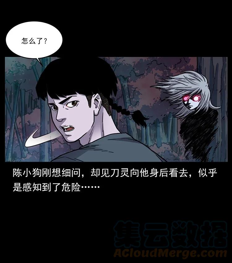 第224页