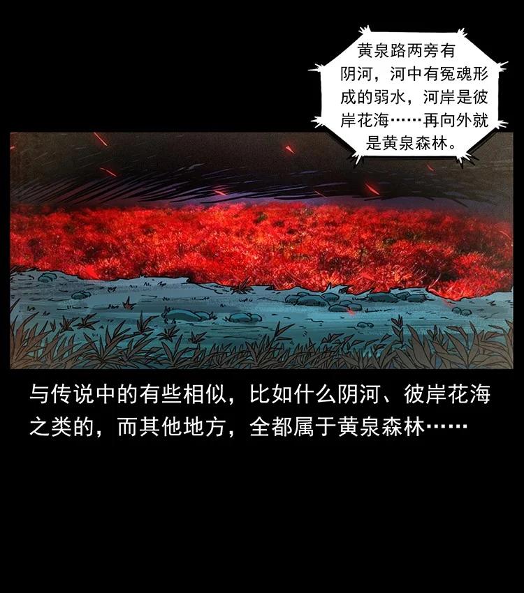 第215页