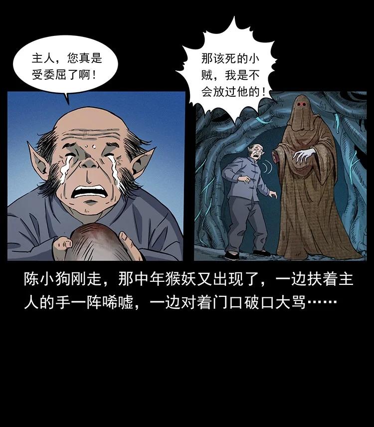 第248页