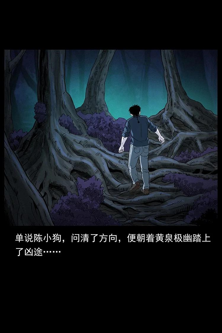第260页