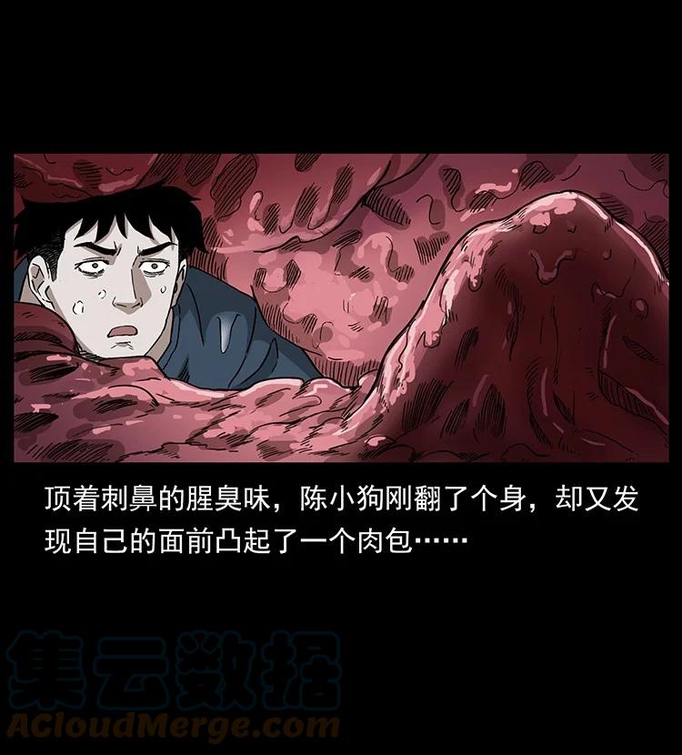 第191页