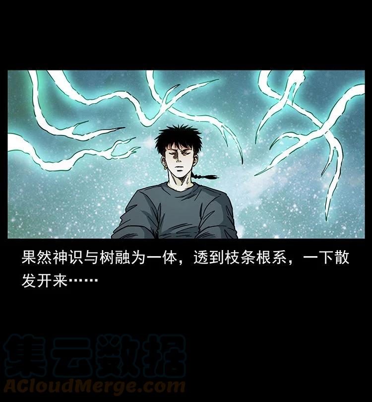 第183页