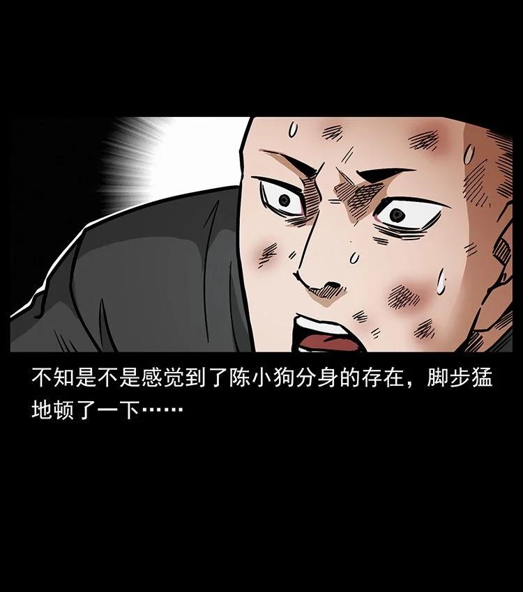 第204页