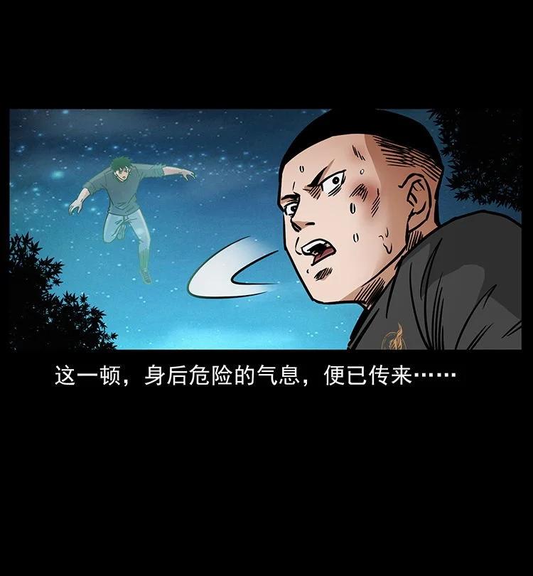 第207页