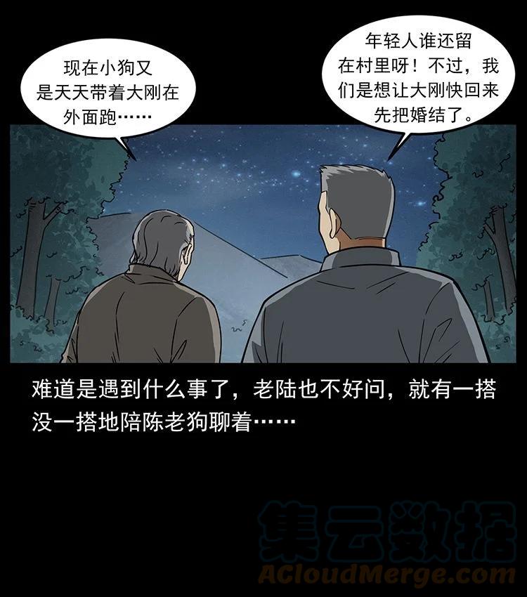 第219页