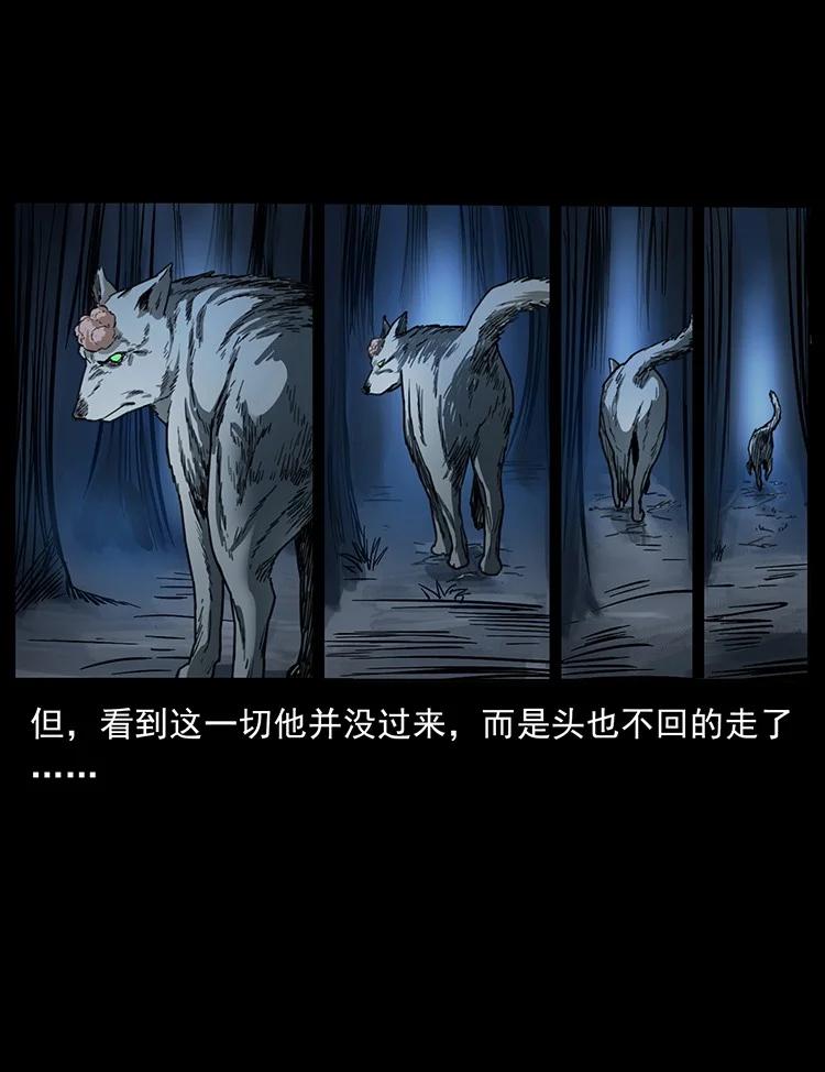 第261页