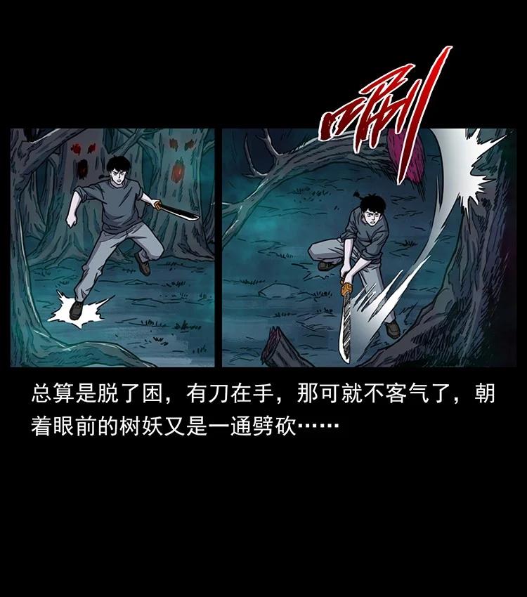 第204页