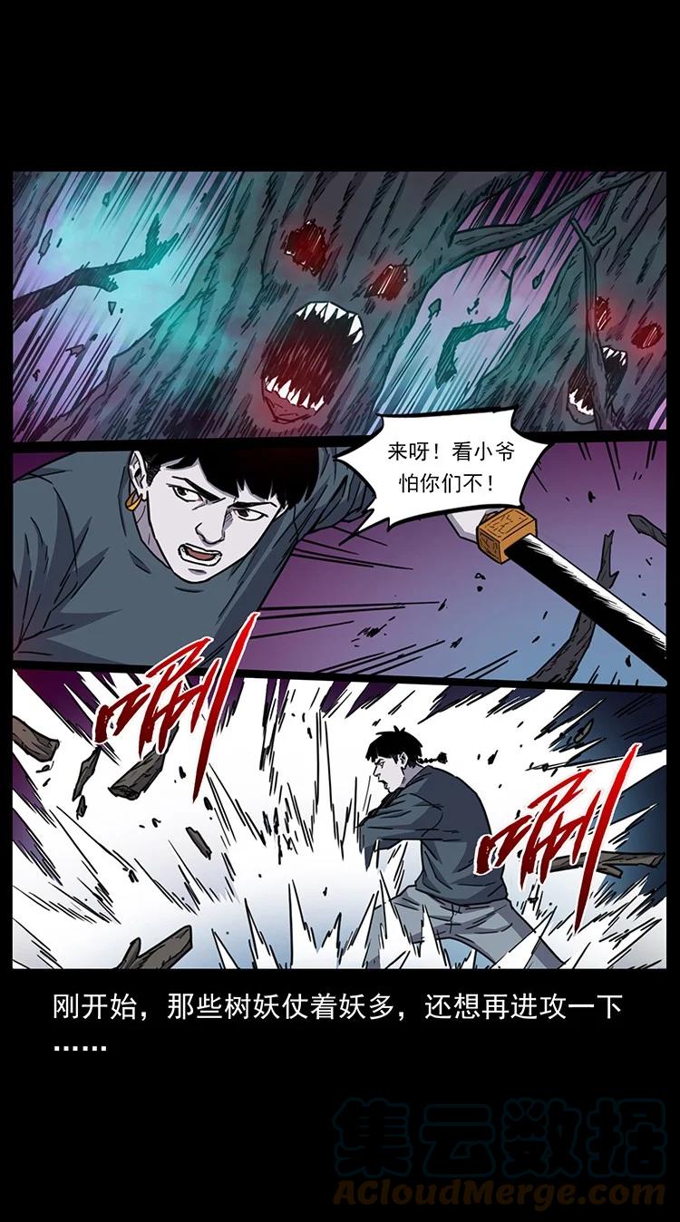 第207页
