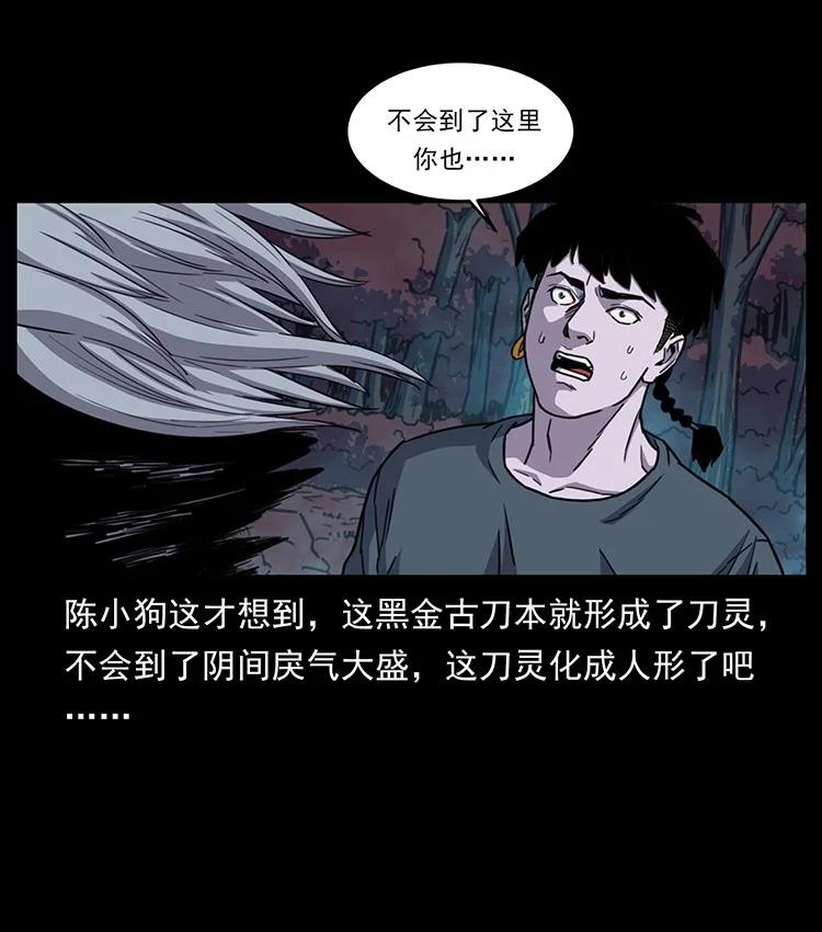 第219页