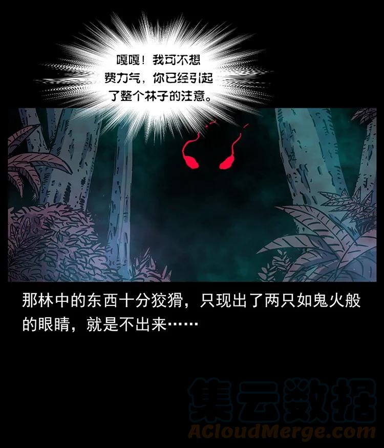 第234页