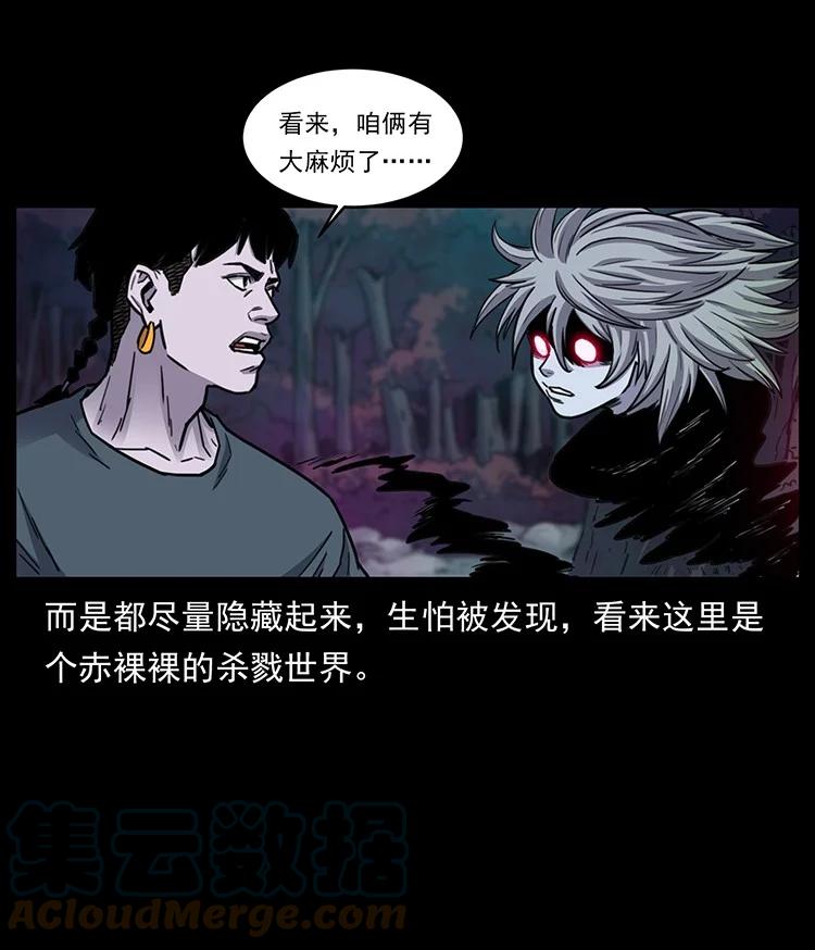 第243页