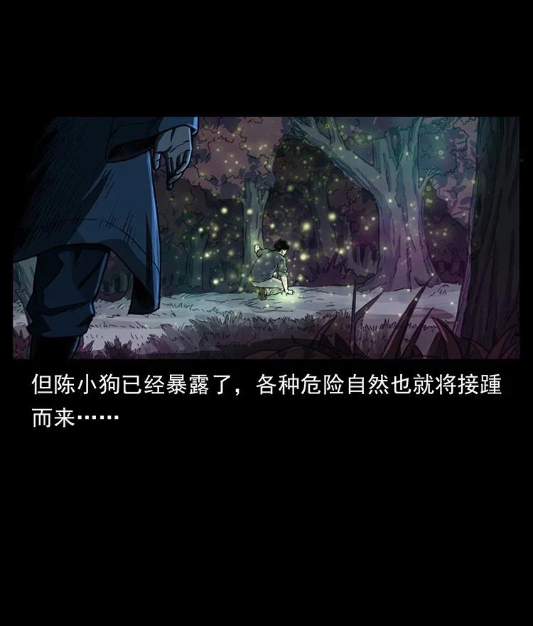 第264页