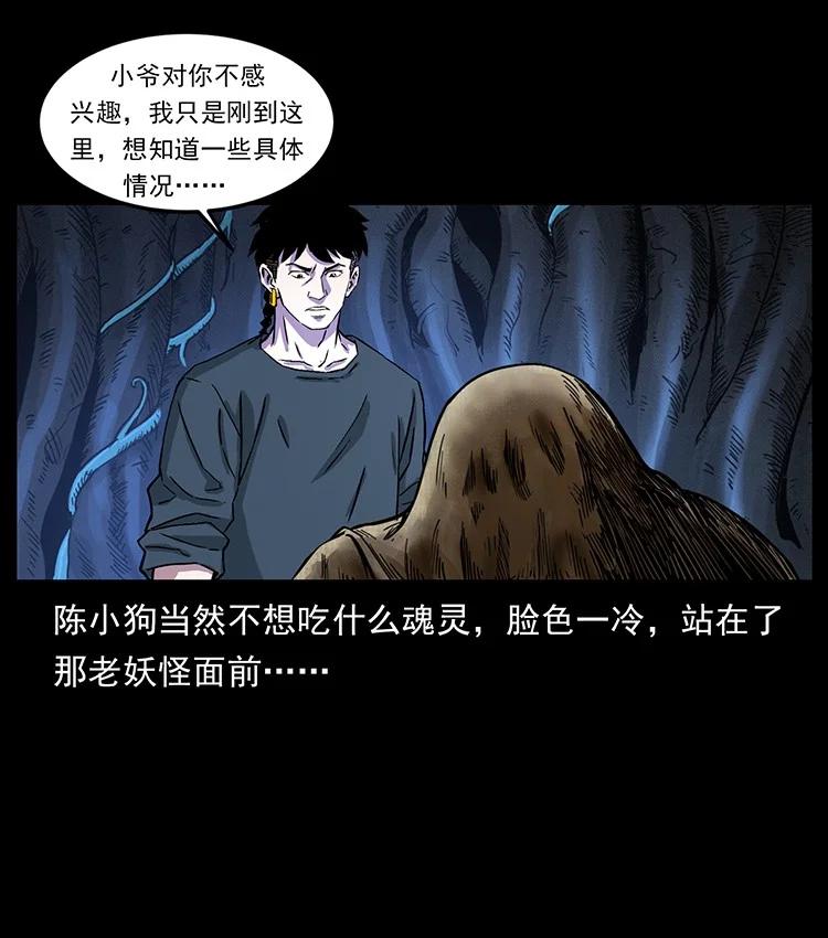 第204页