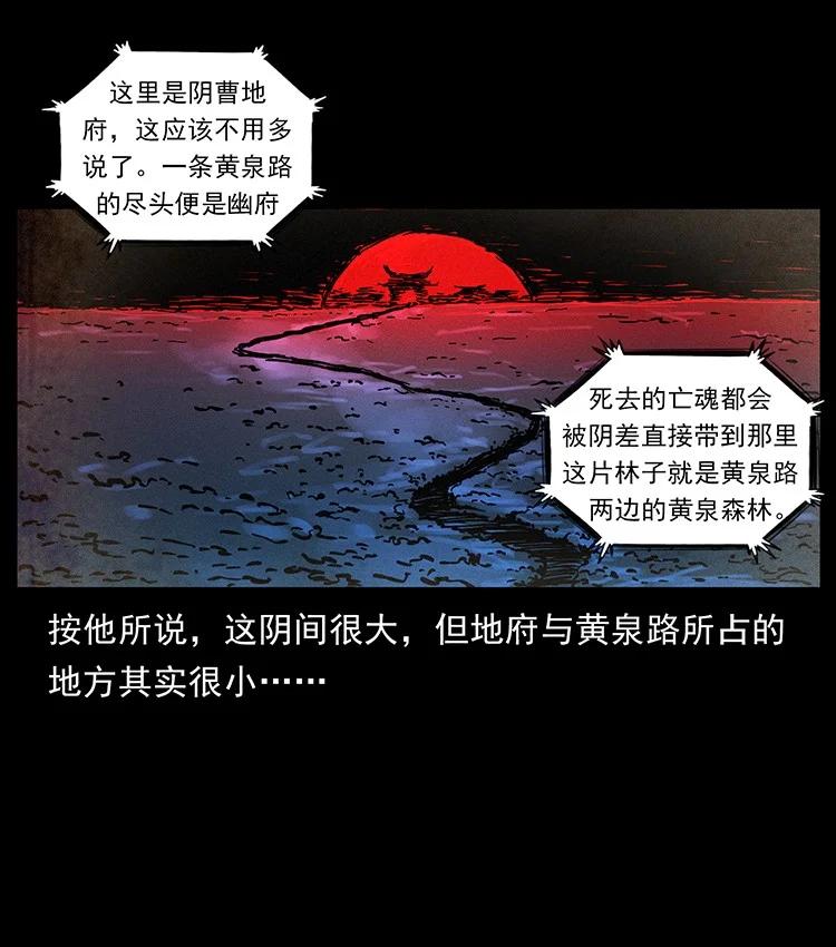 第213页