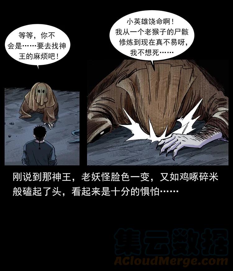 第237页