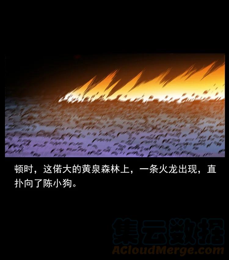 第228页