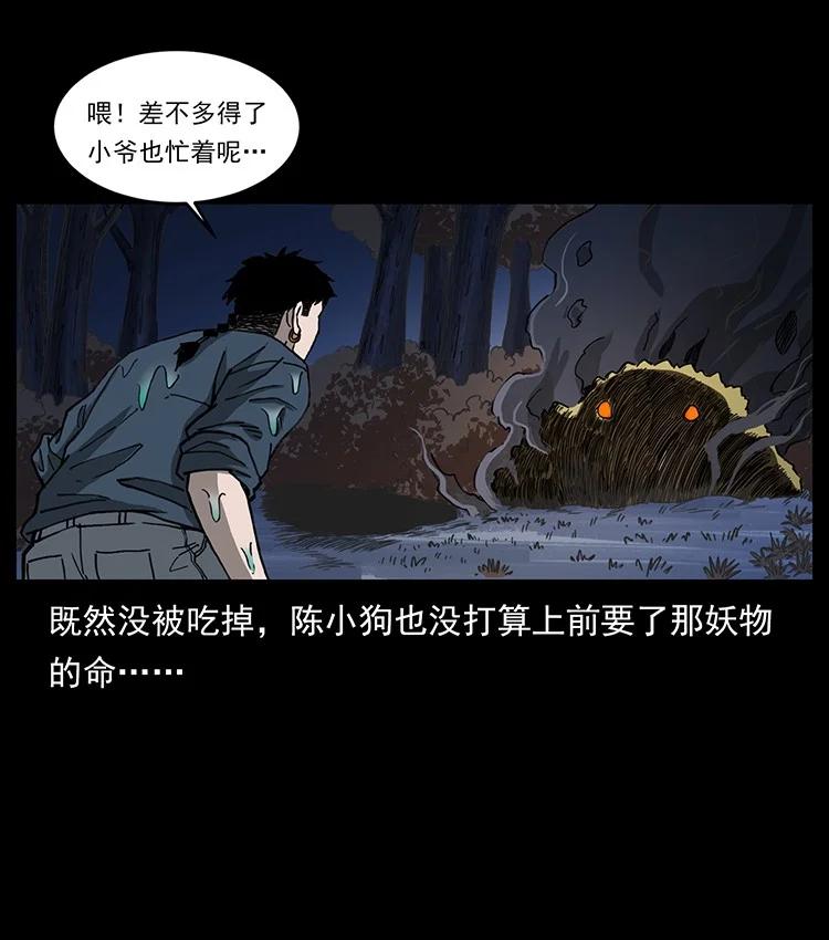 第231页