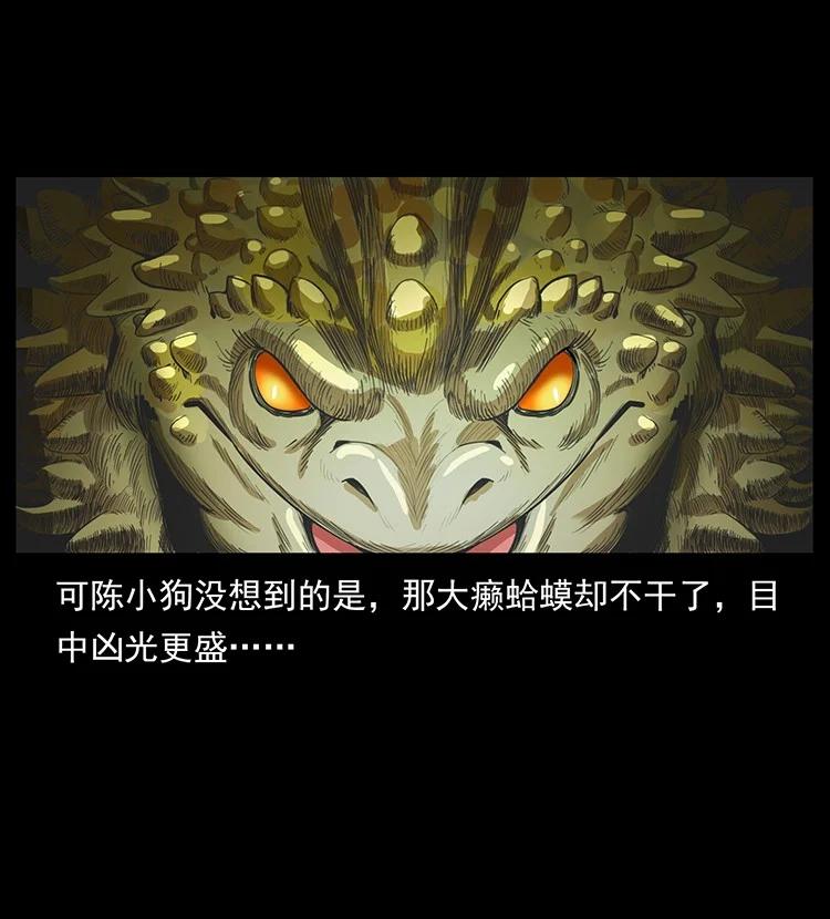 第234页