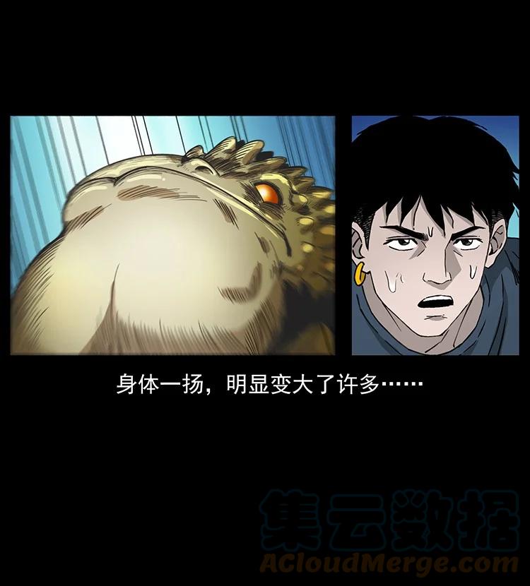 第237页