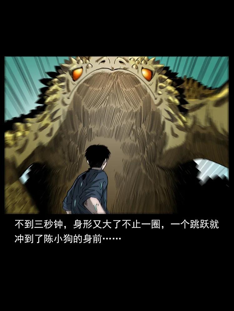 第240页