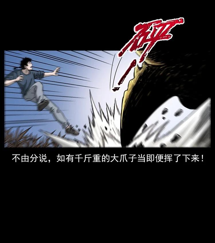 第243页