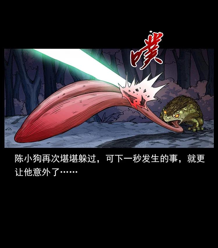 第258页