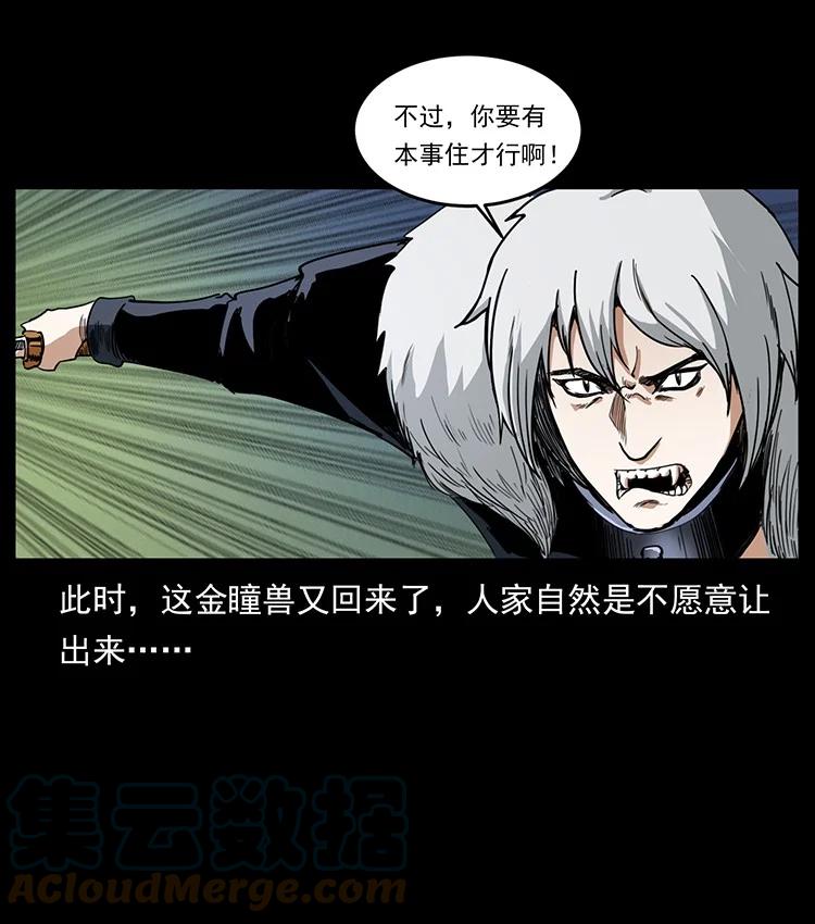 第234页