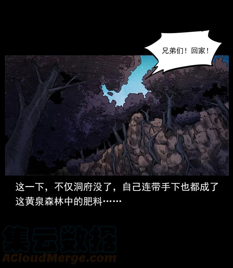 第243页