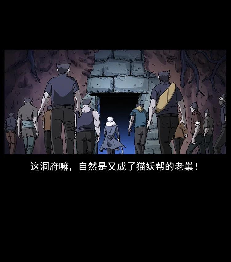 第246页