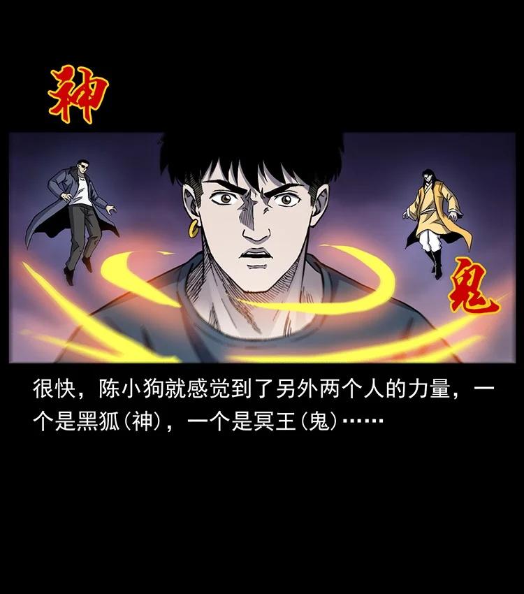 第231页