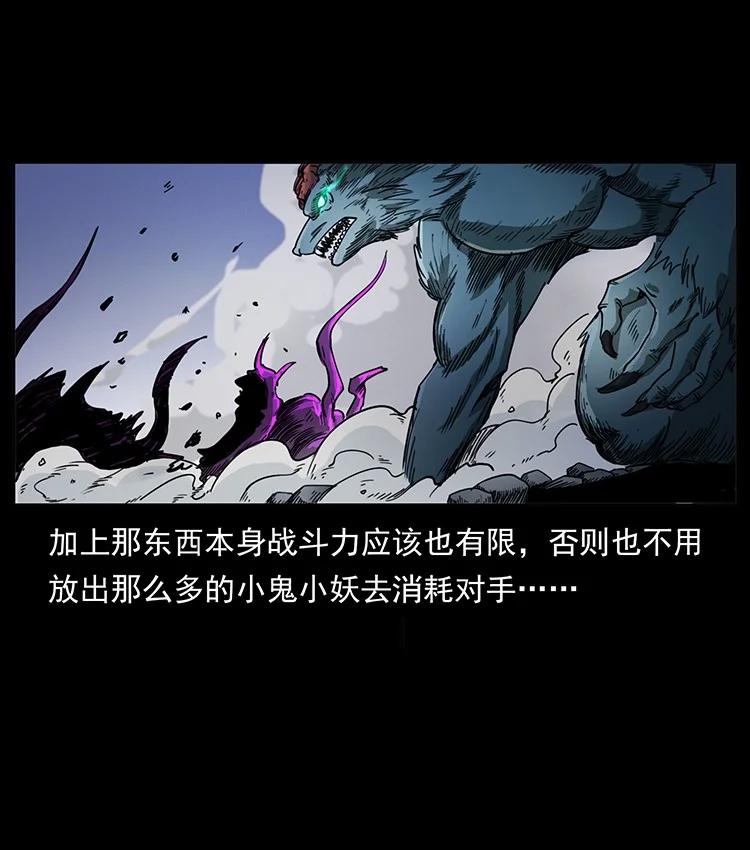 第204页