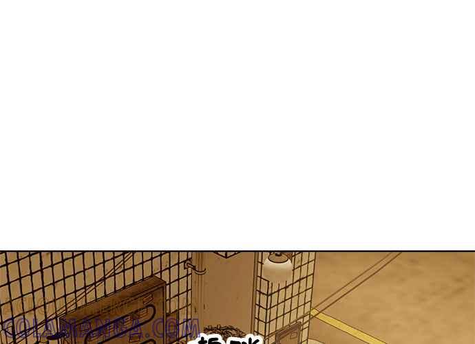 第245页