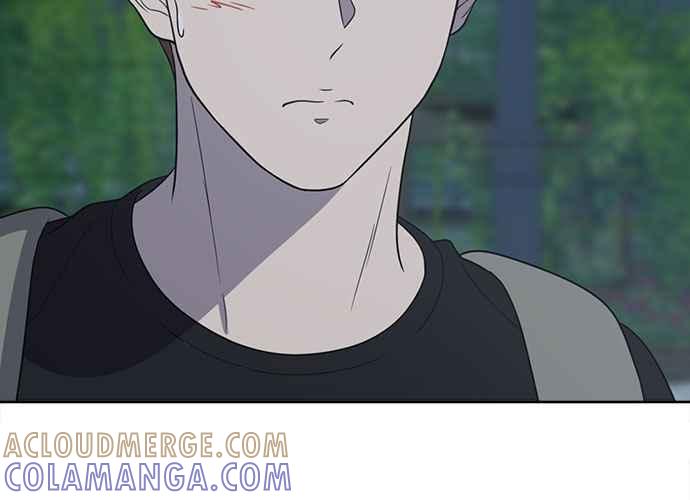 第229页