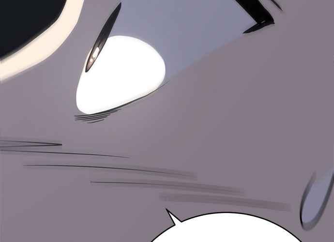 第247页