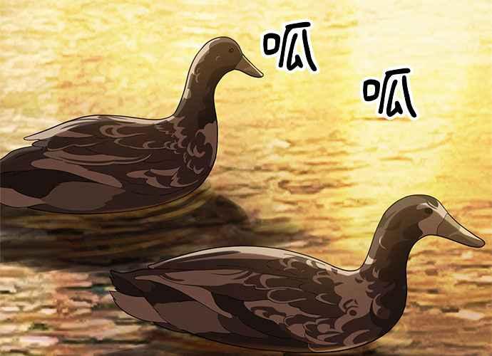 第258页