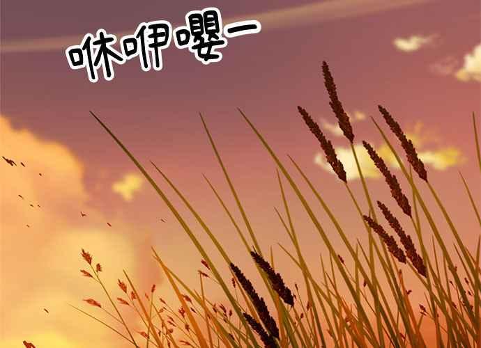 第260页