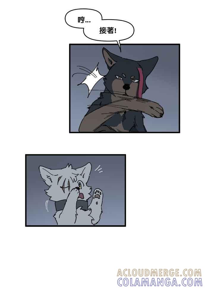 第31页
