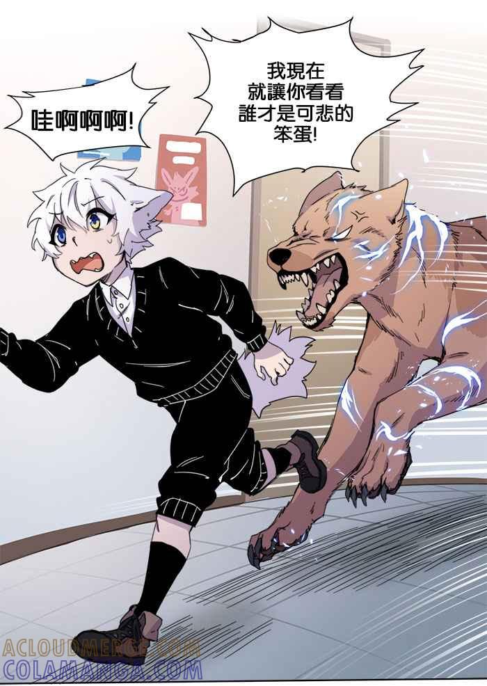第40页
