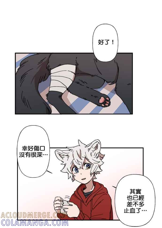第33页