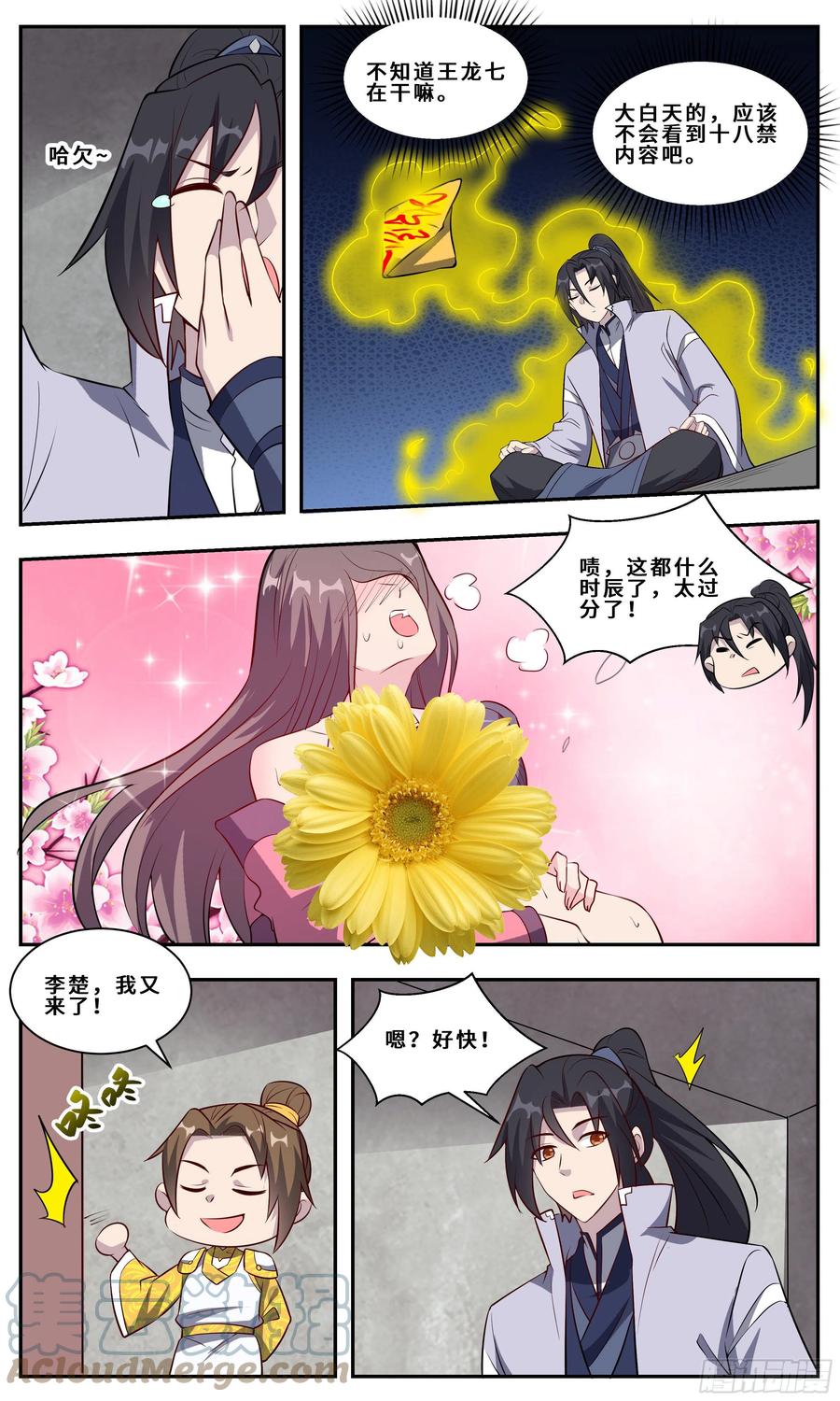 第11页
