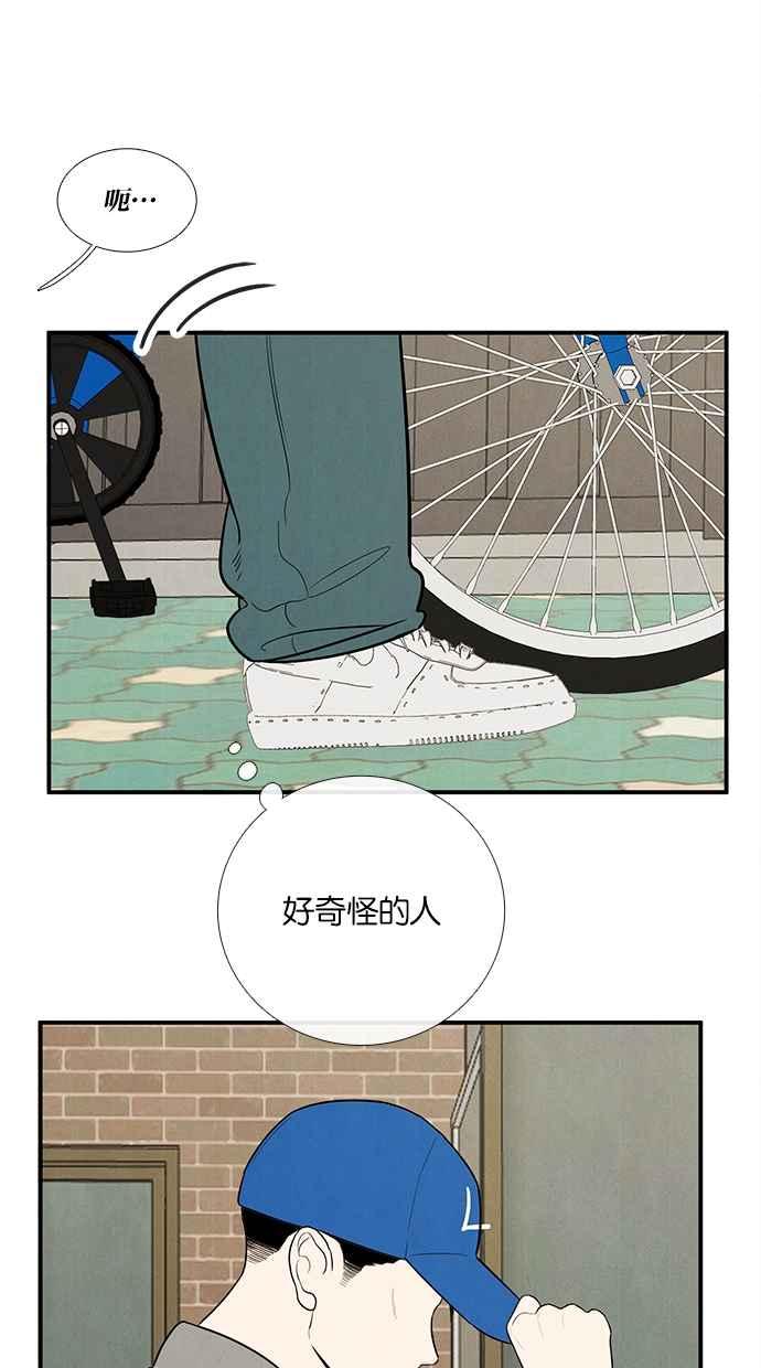 第204页