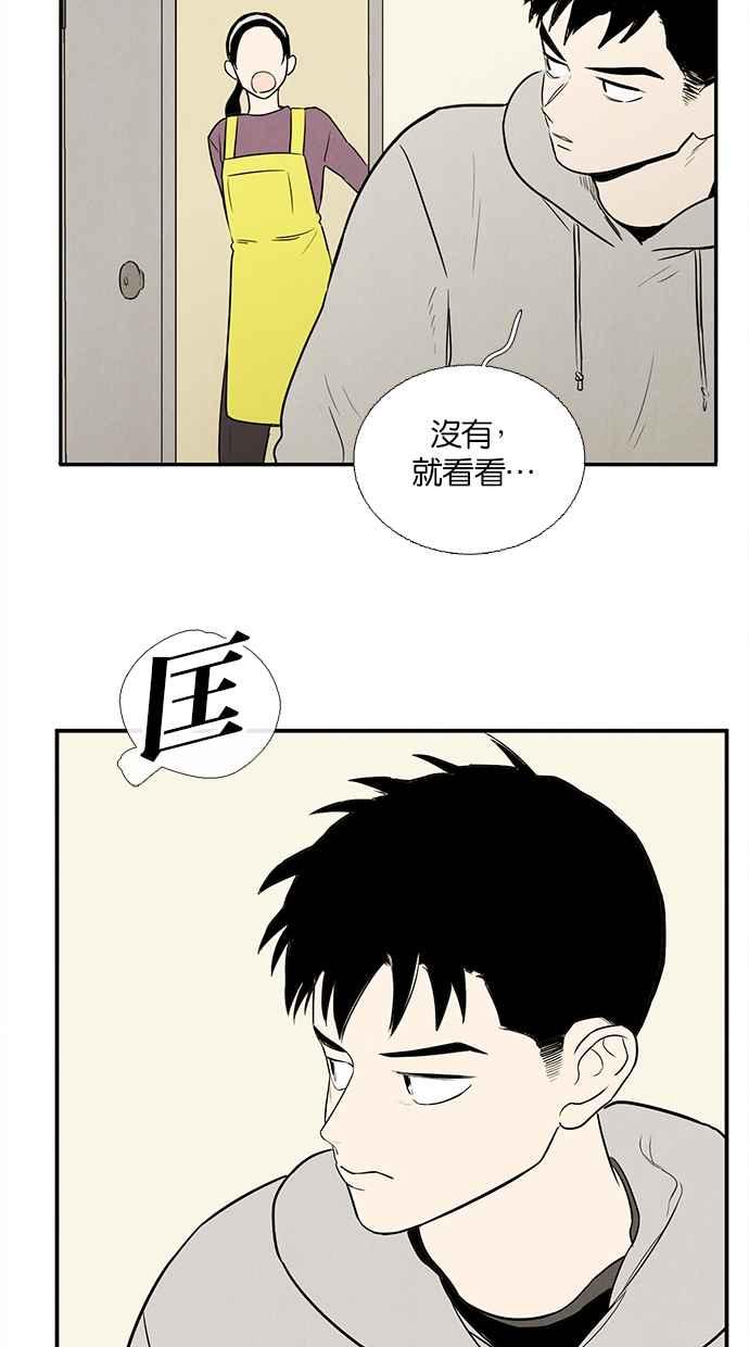 第242页