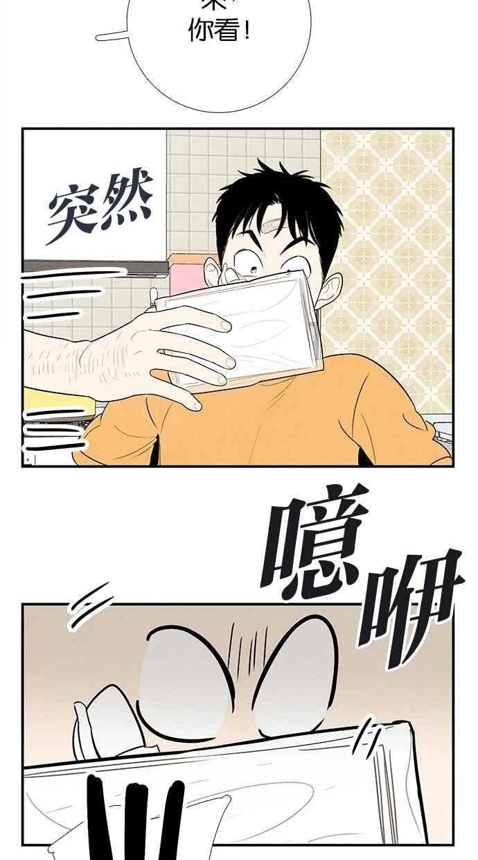 第252页