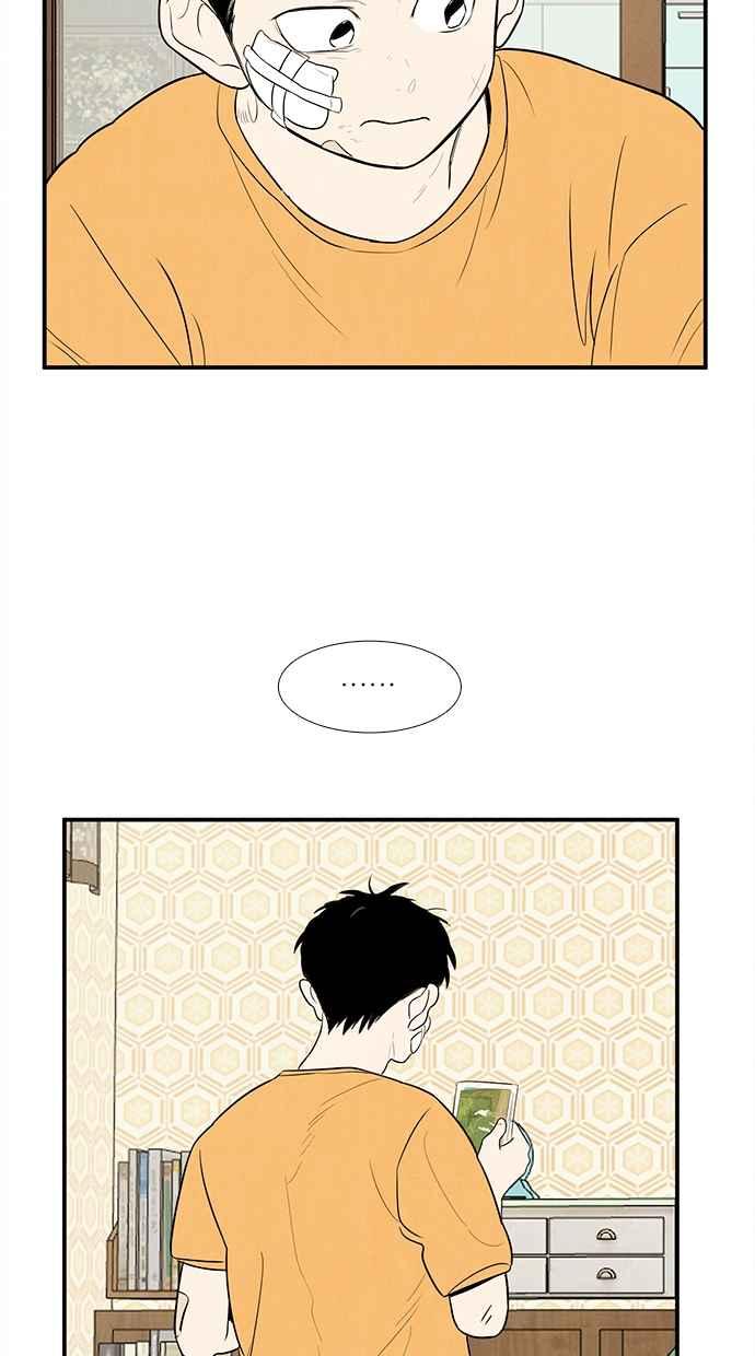 第255页