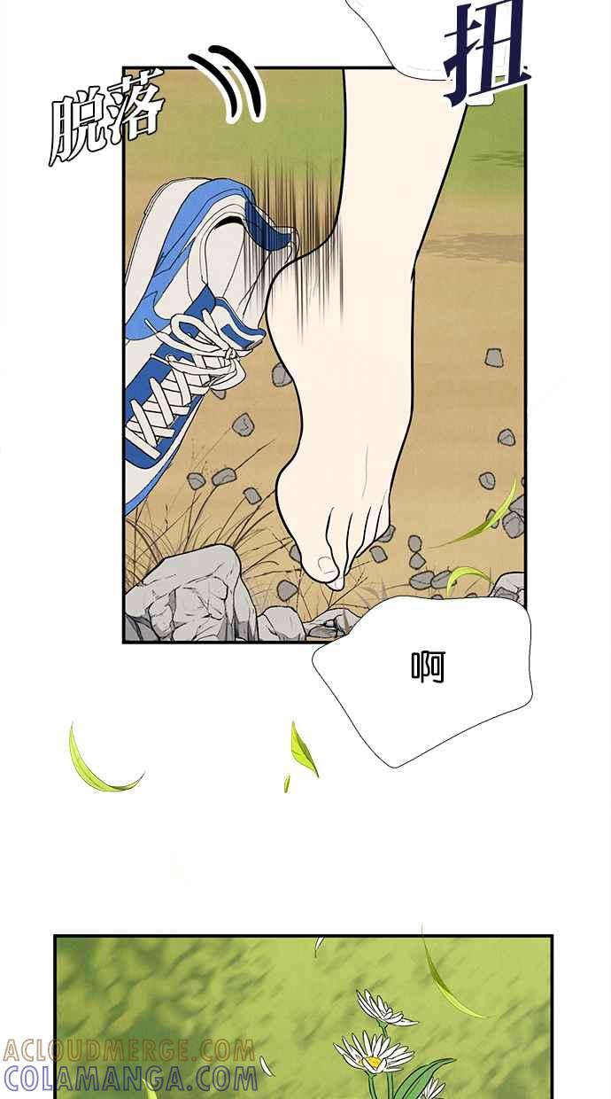 第261页
