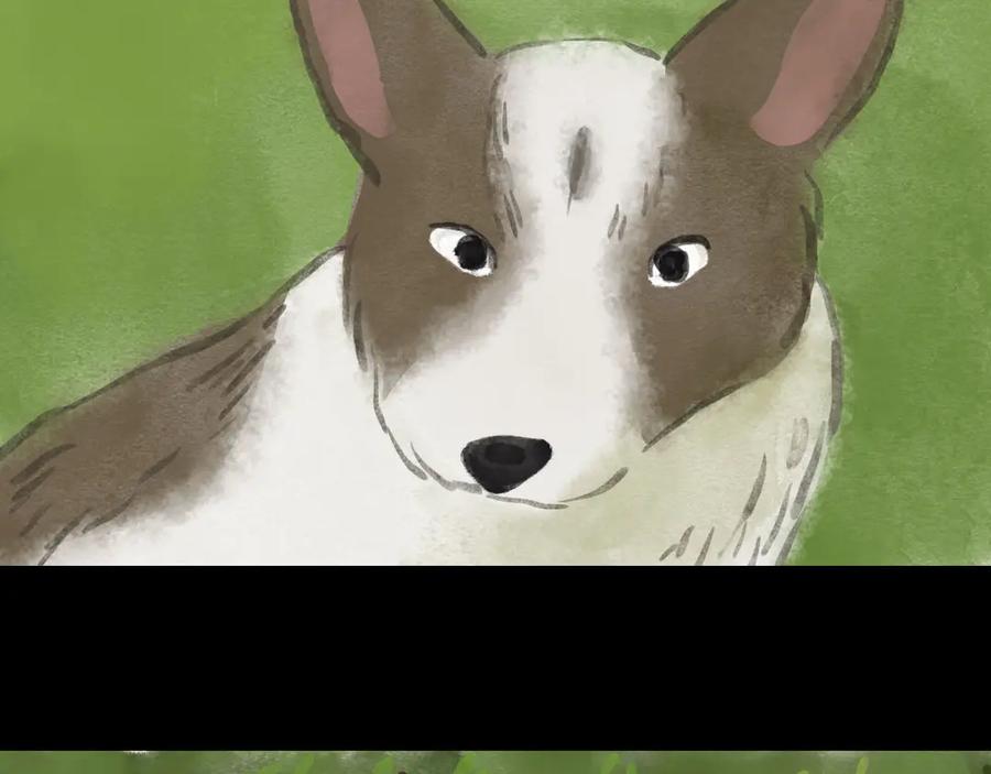 第45页
