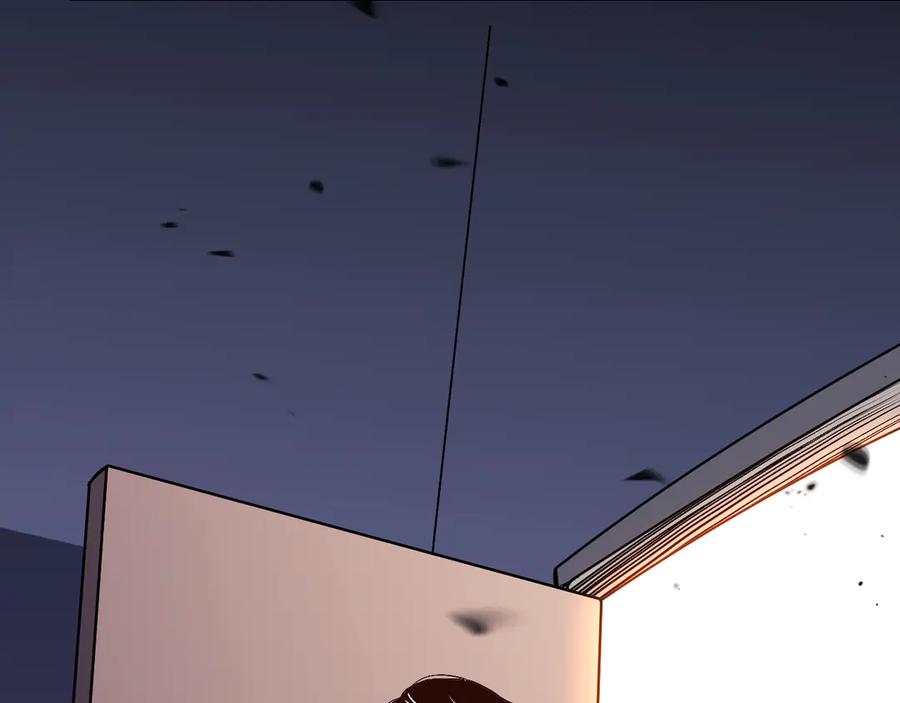 第224页