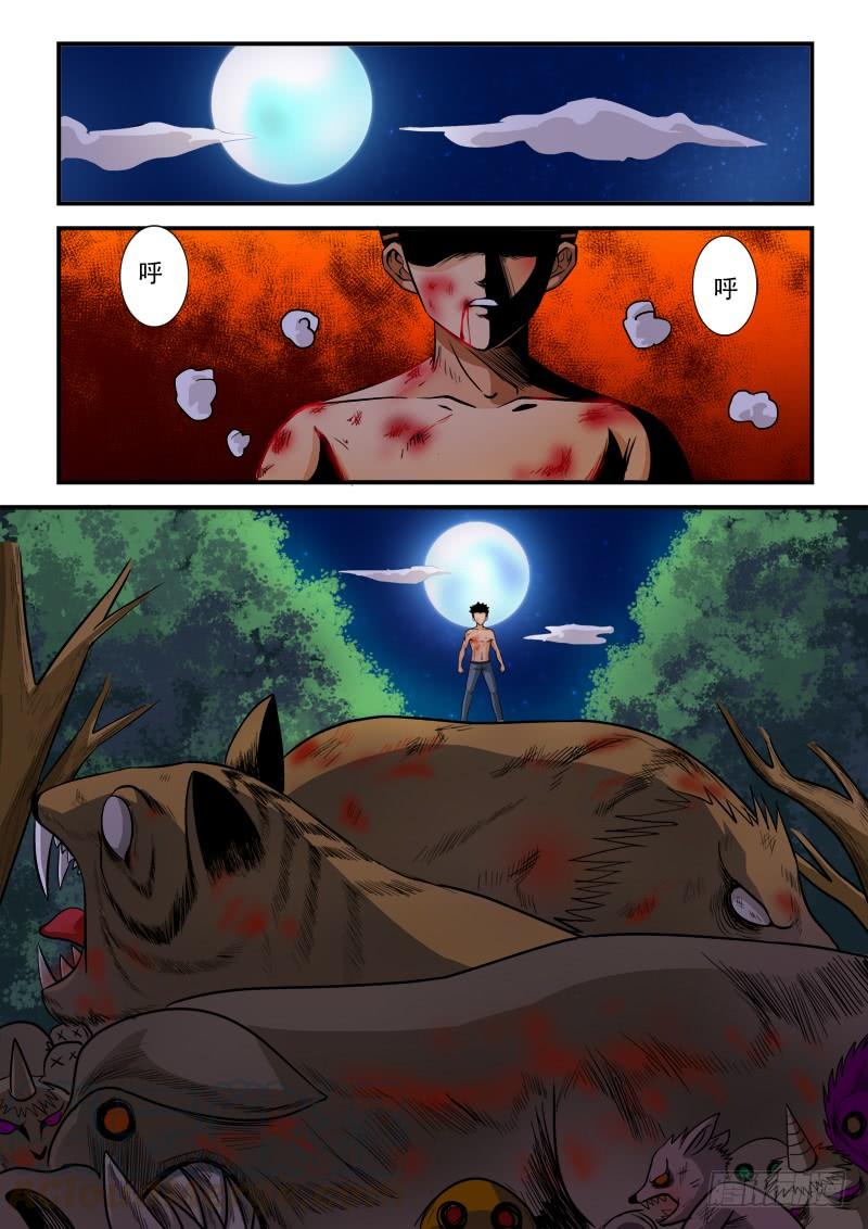 第11页