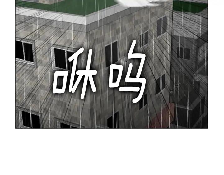 第235页